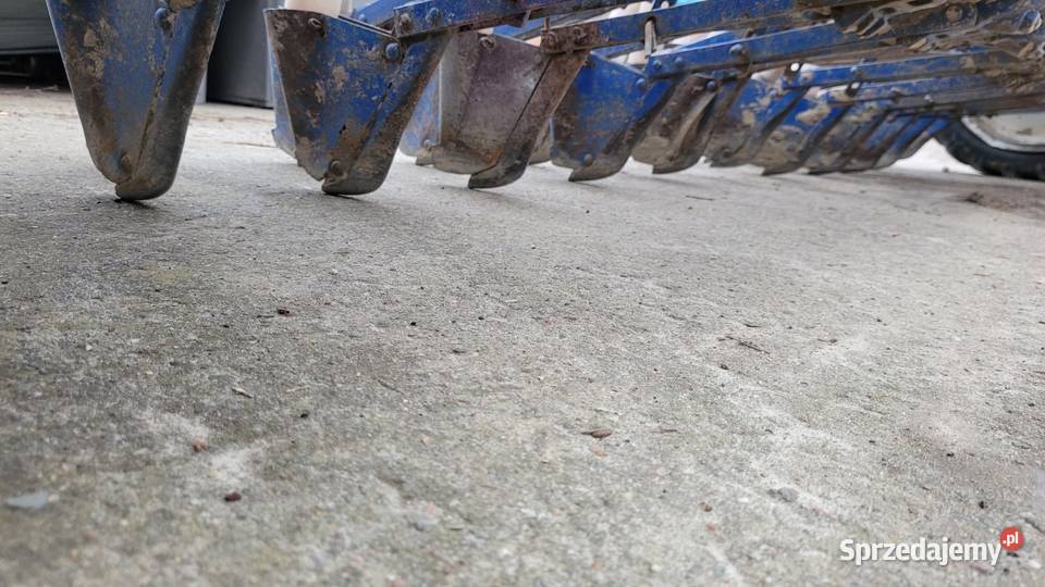 Siewnik Poznaniak Grójec