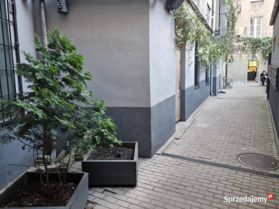 Lokal usługowy gastronomia Półwiejska Poznań