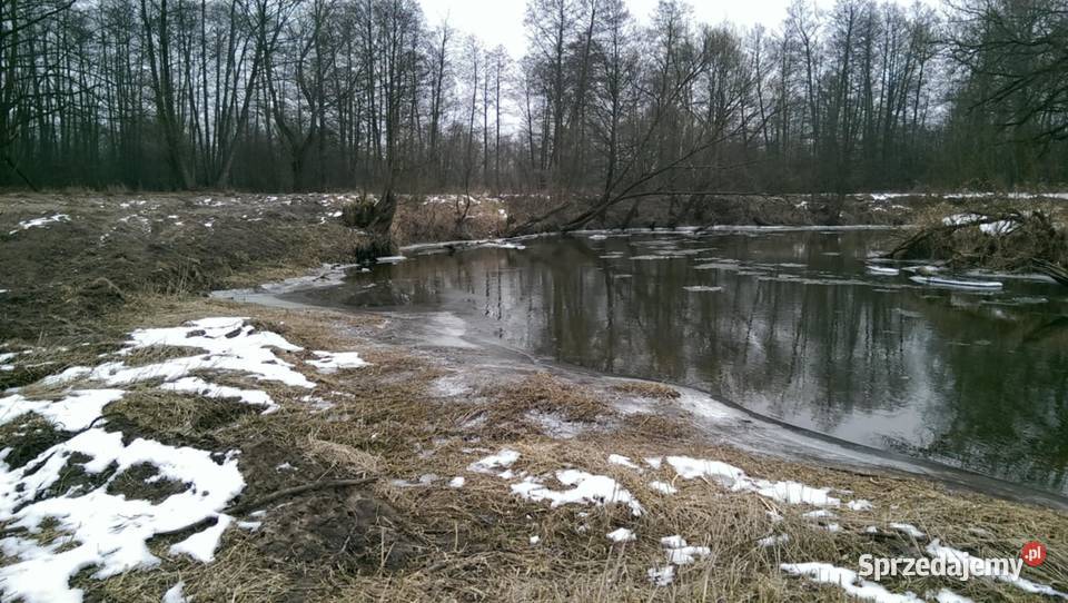 Działka z linią brzegową Wkry mazowieckie Płaciszewo