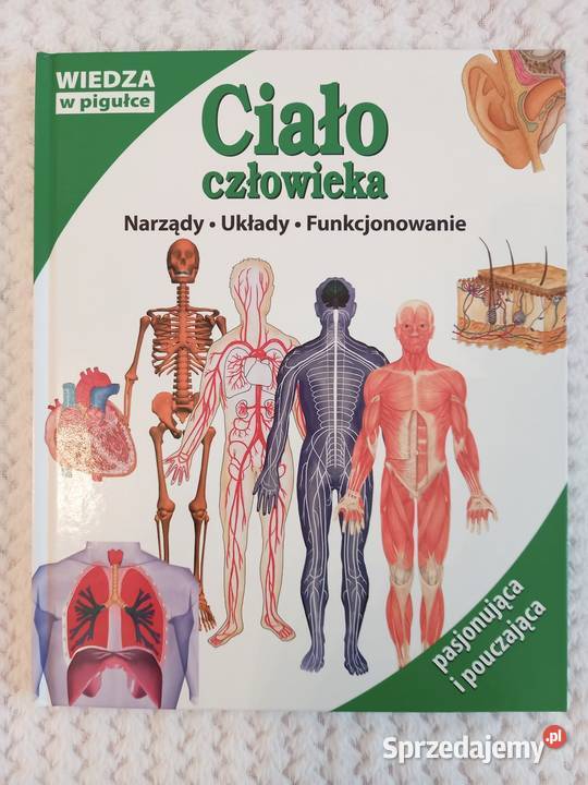 Seria filmów Rodzina Pytalskich do wyboru Filmy Kraków sprzedam