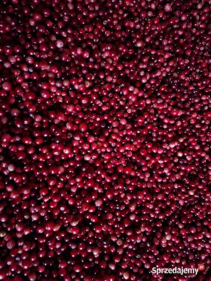 Żurawina bagiennaleśnabłotna litr Janów Lubelski