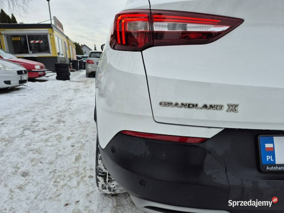 Opel Grandland X Najbogatsza wersja Skora Model nawigacja Bydgoszcz