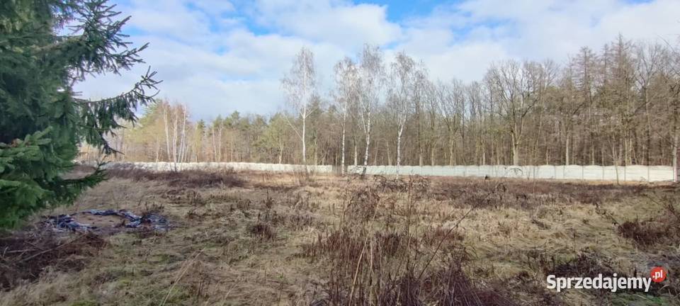Wynajmę działkę rolną budowlaną ogrodzoną 3900 Elżbiecin