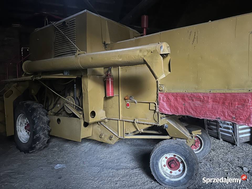 Ładny Bizon Z 40 Szklarnia