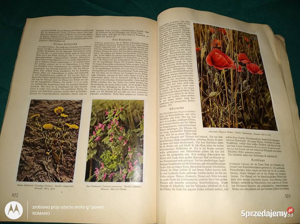 Książka album Flora europejska Katowice