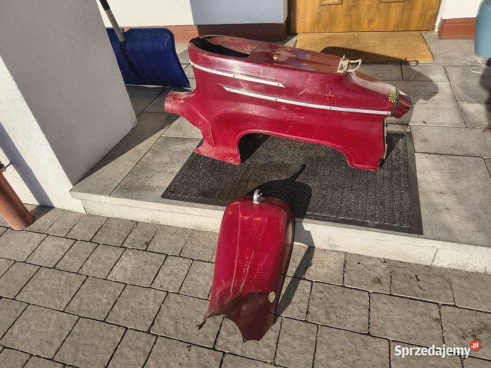 Jawa kaczka pancerka