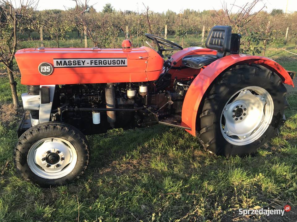 Massey Ferguson 135 Sadowniczy Ogrodniczy Przysucha