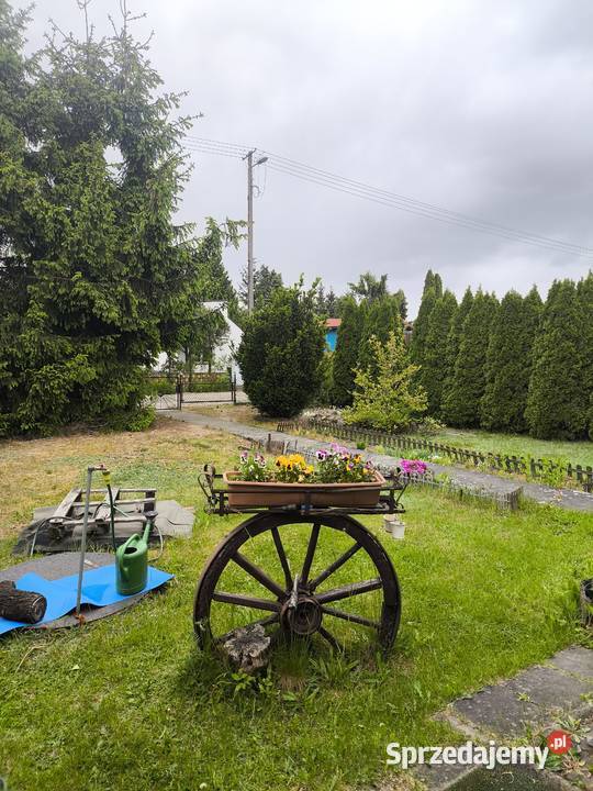 Sprzedam działkę ROD Szafirek Poznań
