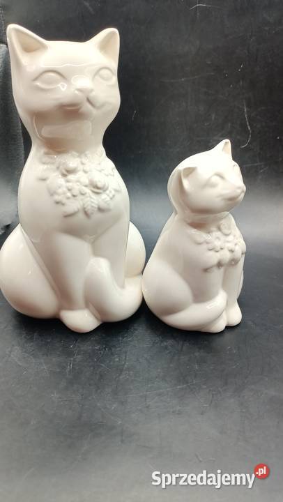 Para białych kotów Rosa Ljung Helsingborg lubelskie Zamość