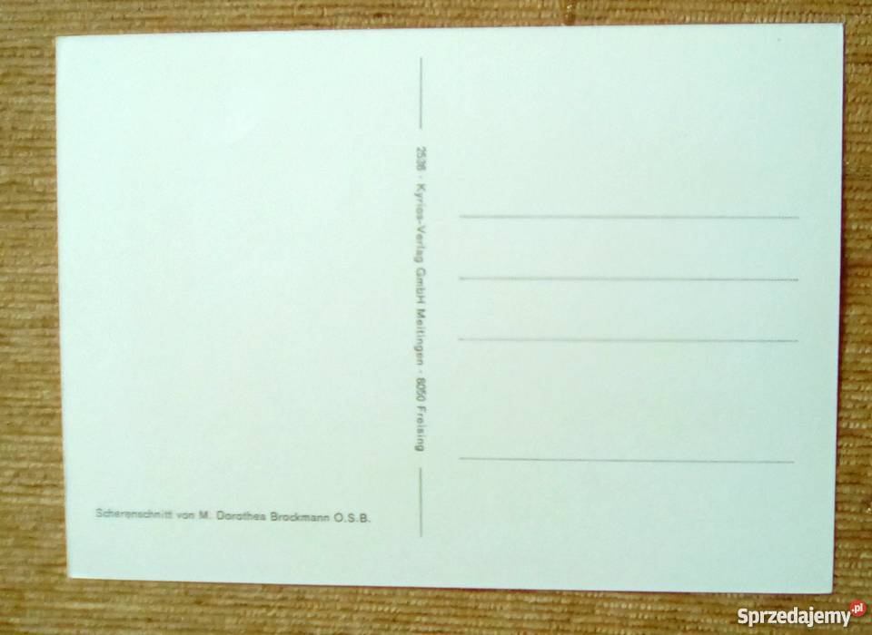 MAŁA SARNA W BLASKU KSIĘŻYCA NA TLE LASU Piszczac