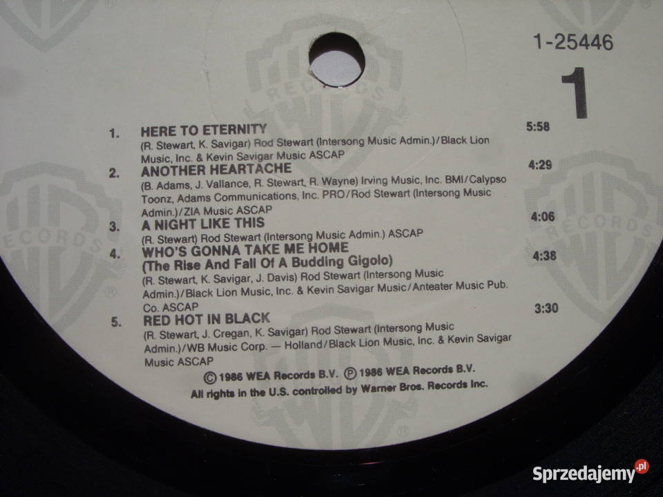 Winyl lp Rock ROD STEWARTHERE TO ETERNITY Warner Wołów
