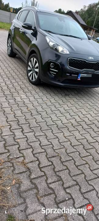 Kia sportage Rok produkcji 2018 Kalisz