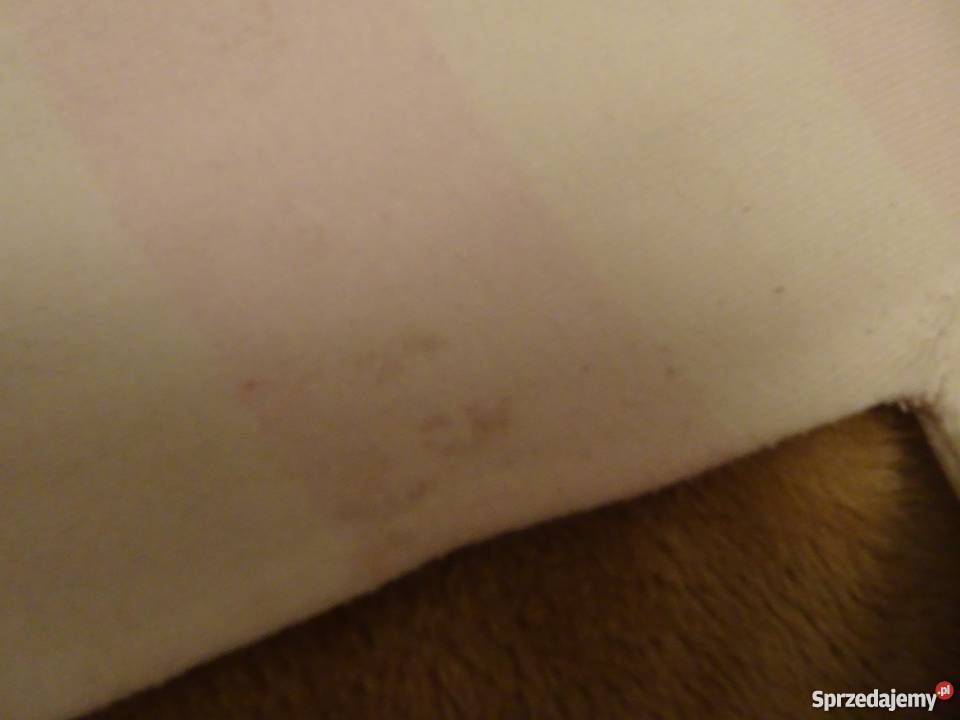 golf dziewczęcy Rozmiar 98 Warszawa