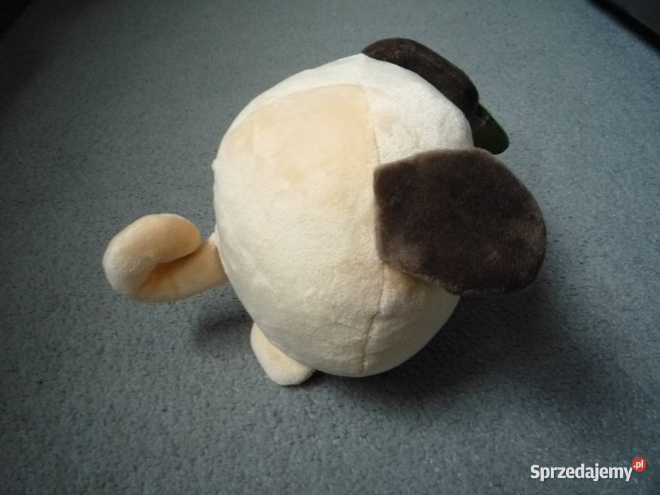 Gang bystrzaków pies Dżipies Maskotka z Szczecin