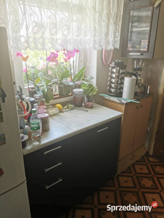 Syndyk sprzeda mieszkanie w Goszynie 42m2 Pruszcz Gdański