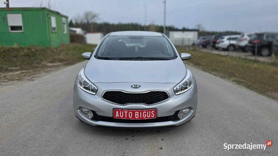 Kia Ceed klima zarejestrowana salon polska LEDY Lębork