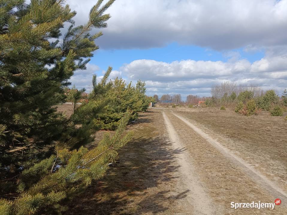 Działka budowlana Chinów sprzedam