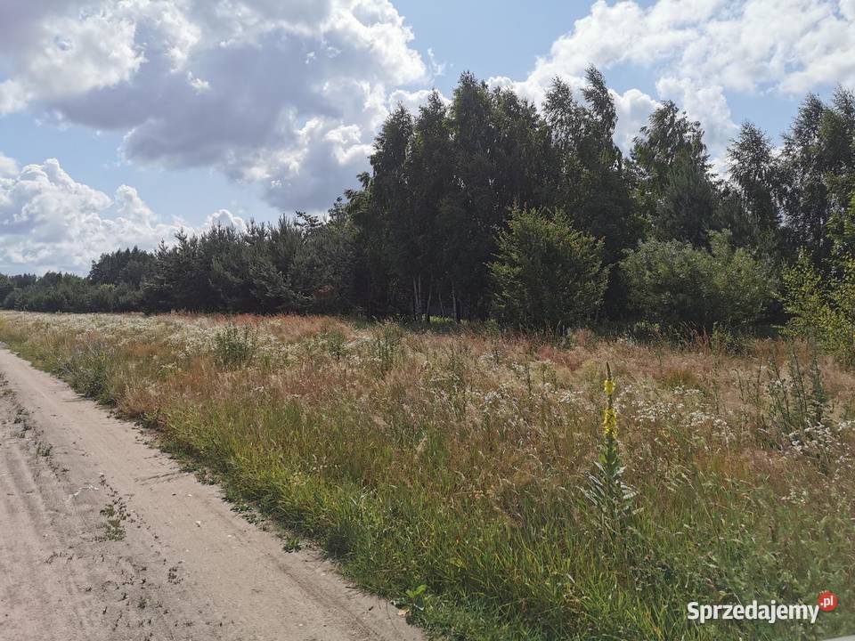 Działka jeziorem Mstowo gm Chodecz 390m2