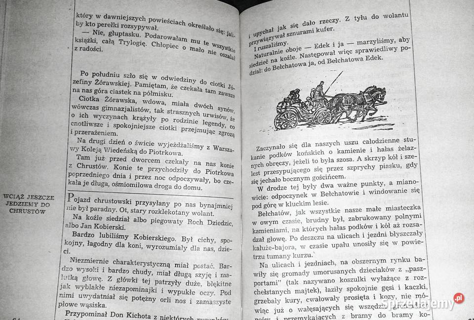 I w sto koni nie dogoni Janina Porazińska Chełm