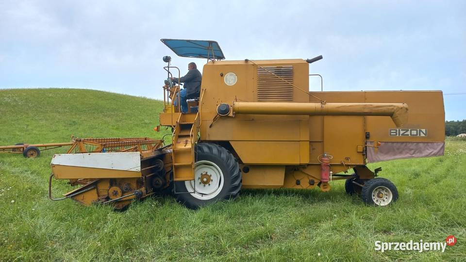 Bizon super Z056 pomorskie Kramarzyny