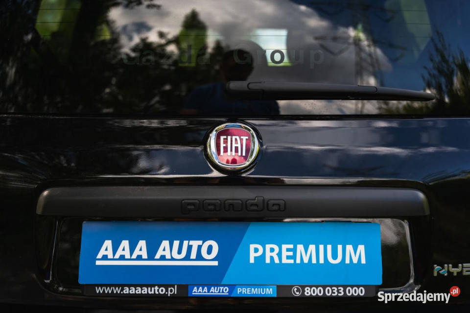Fiat Panda 10 FireFly