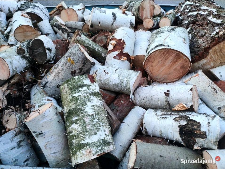 Drewno opałowe Sosna grubaOlszynabrzozatransport Włocławek