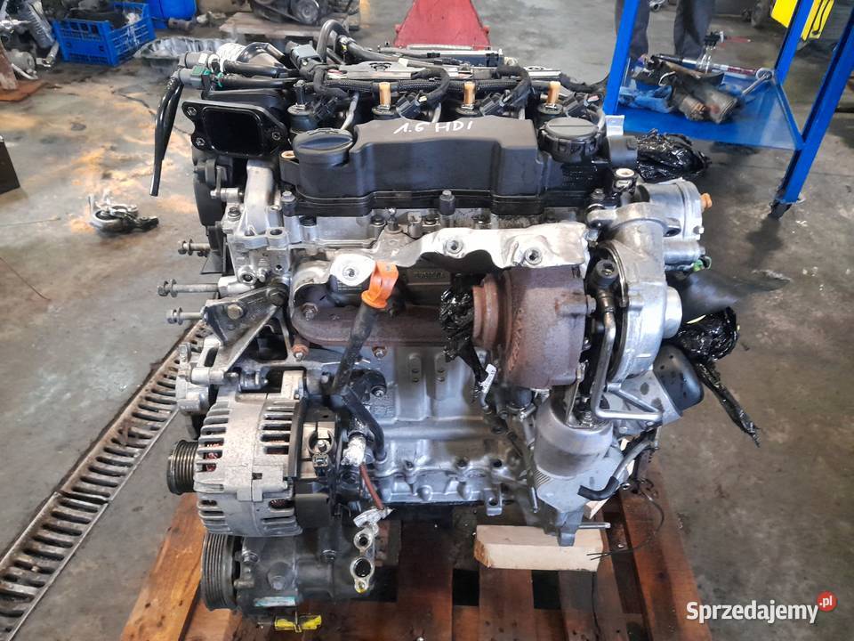 SILNIK 16 HDI 9HZ 9HX 9H01 9H02 PEUGEOT CITROEN Pleszew sprzedam