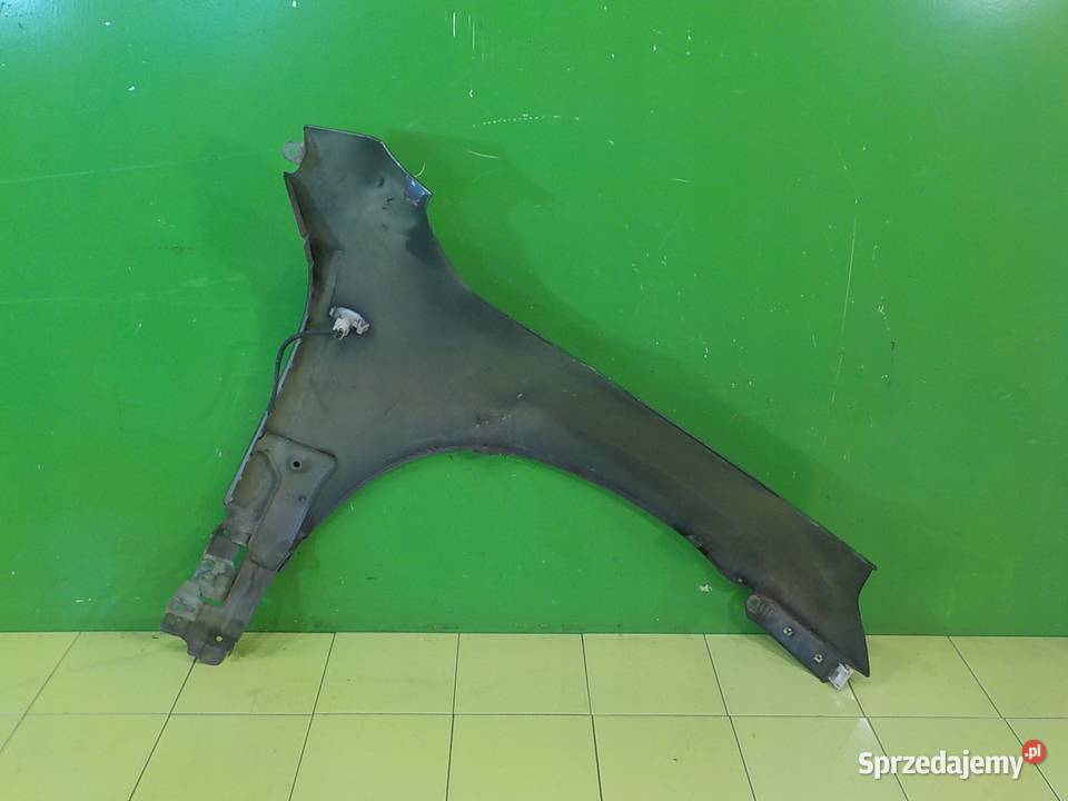 SUZUKI GRAND VITARA II 19 DCI 07r 5D blotnik