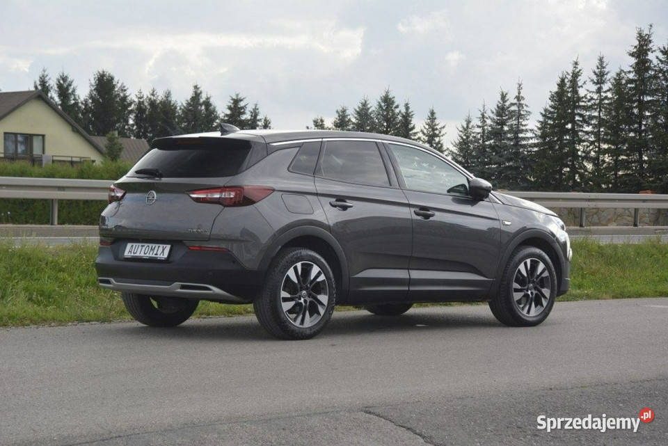 Opel Grandland X 15 D nawi Asist Park Android światła do jazdy dziennej Sędziszów Małopolski