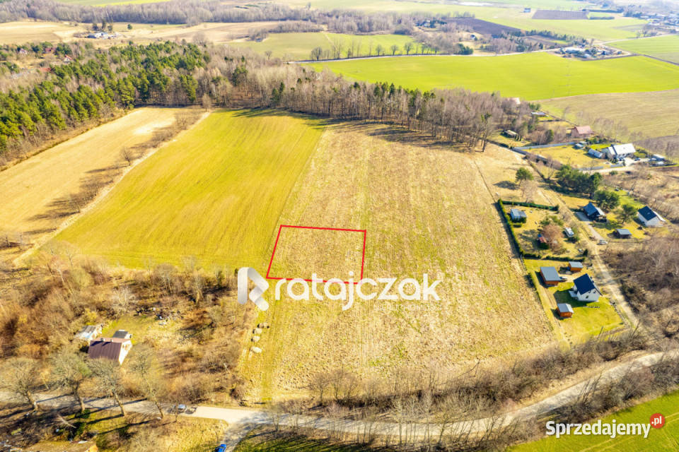 Grunt Perlino 1580m2 szambo Sprzedaż