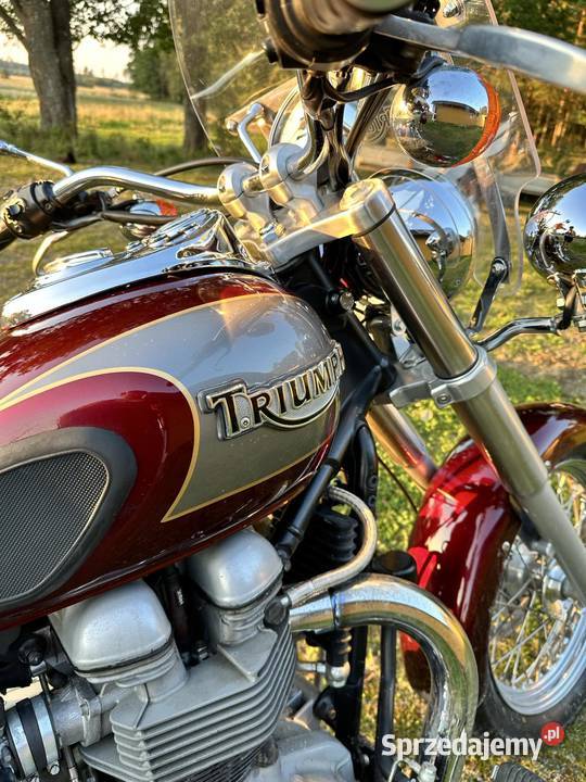 Triumph America