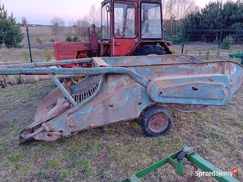 Sprzedam kopaczke elewatorowa Ryki