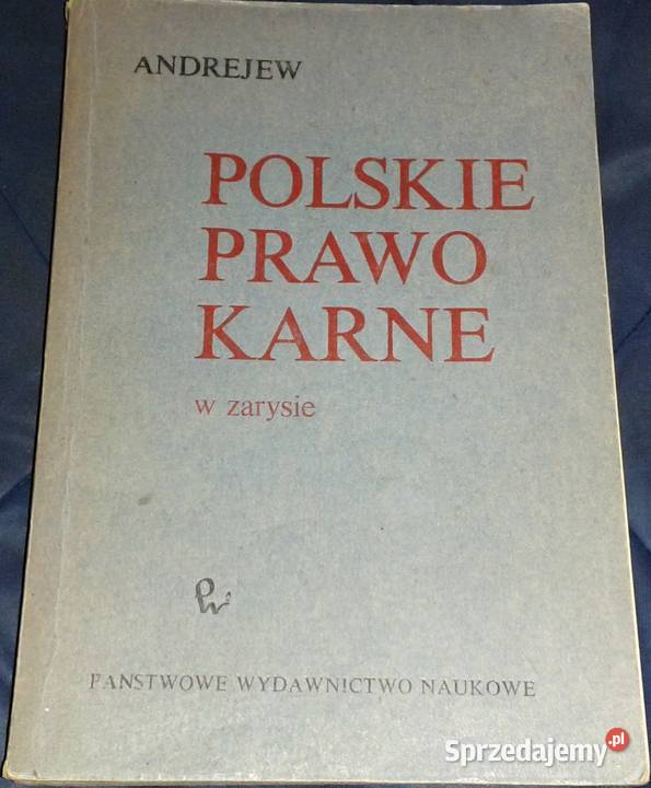 Polskie prawo karne w zarysie Igor Andrejew