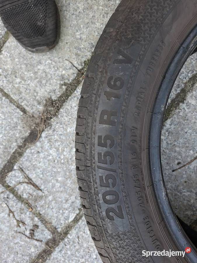 Opony letnie Barum Bravuris 20555R16