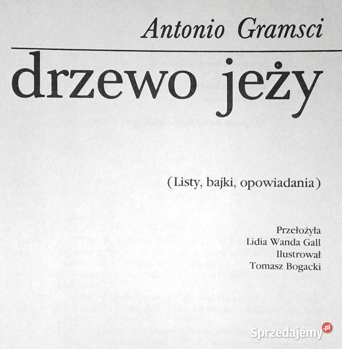 Drzewo jeży Antonio Gramsci Chełm sprzedam