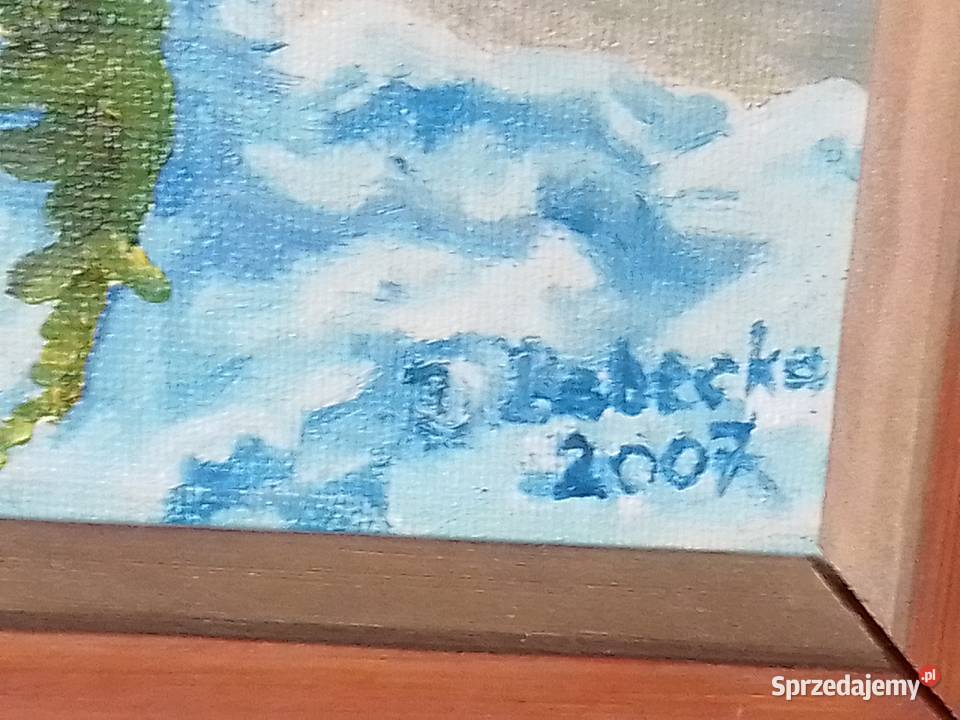 Śliczny obraz z buketem maków w drewnianej ramie wielokolorowy Sosnowiec