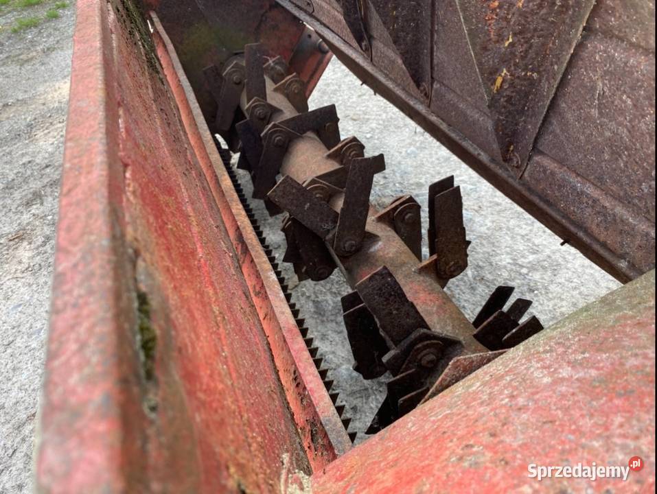 Sieczkarnia Massey Ferguson Massey Ferguson