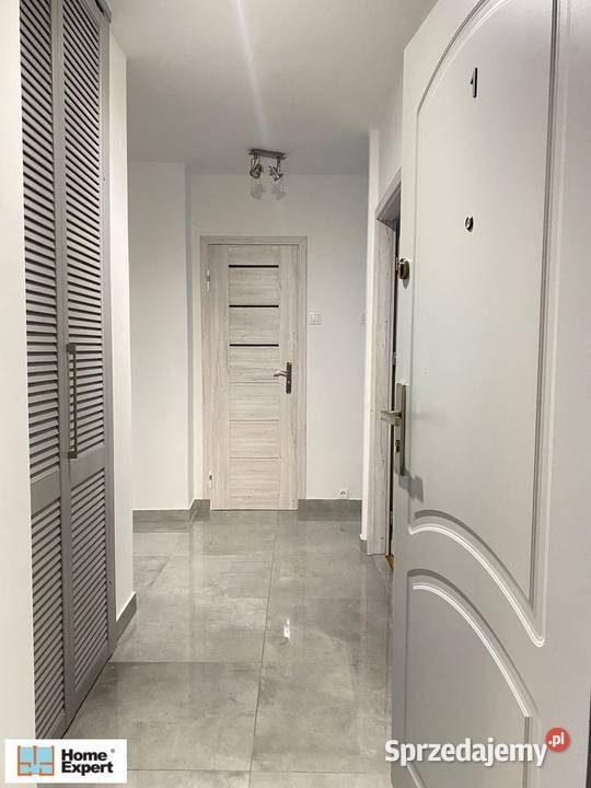 2pok 55met Łódzkiej PIWNICA Wrocław Wynajem sprzedam