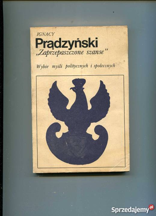 Zaprzepaszczone szanse Szczecin