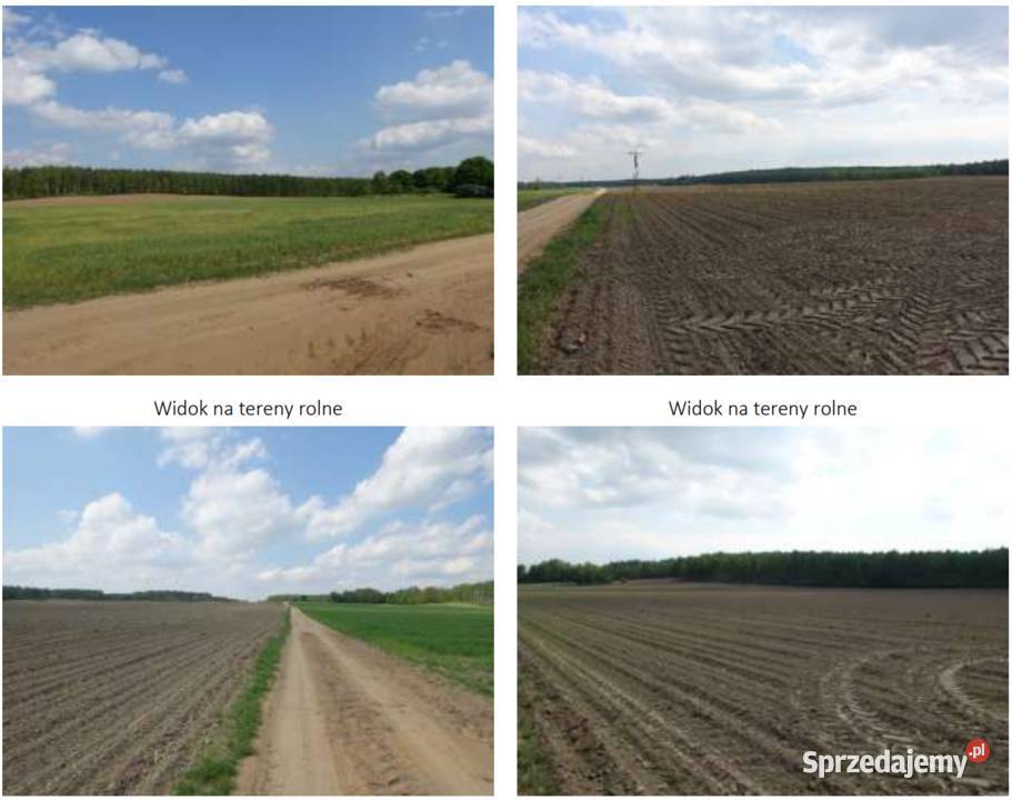 Gospodarstwo grunty Perkozy Łążek Niedziałki 682957m2 Nieruchomości