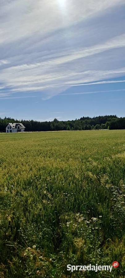 Działka budowlana na Roztoczu 10 Zamościa Wieprzec