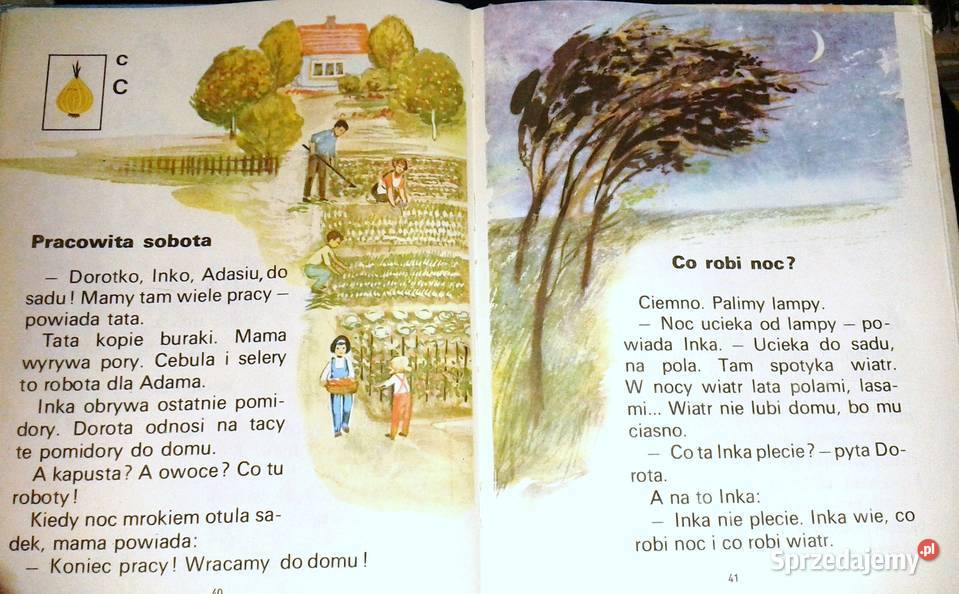 Litery Nauka czytania Ewa i Feliks Przyłubscy Rok wydania 1987 Pozostałe Chełm