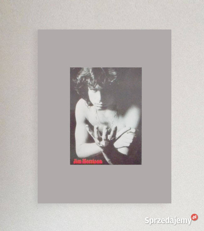 vintage the doors plakat A4 Jim Morrison plakat opolskie Opole