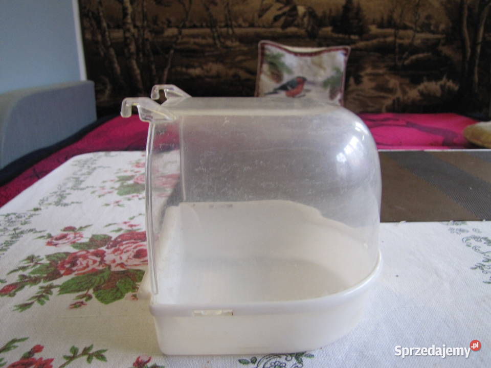 Basen ptaków Toruń