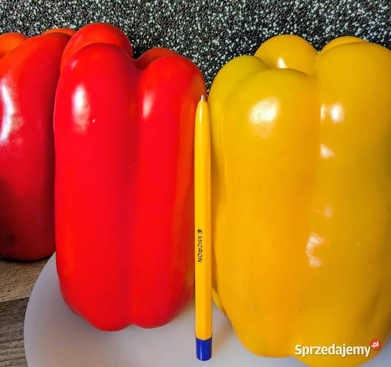 Papryka GIGANT czerwona żółta nasiona kolekcja małopolskie Kraków