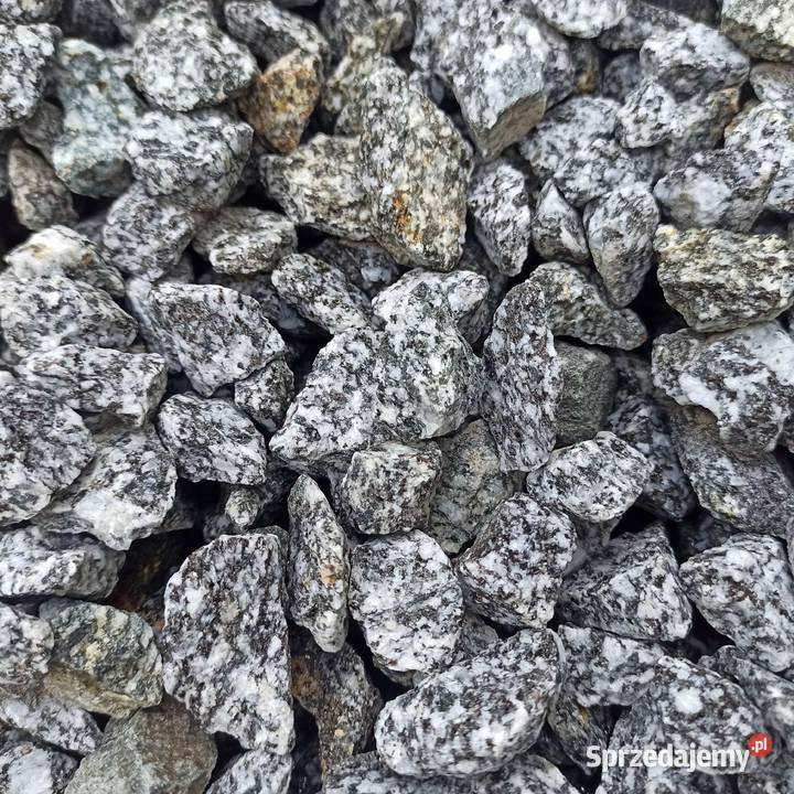 Grys Granitowy Dalmatian Kora Kamienna Janowicki Chrzanów