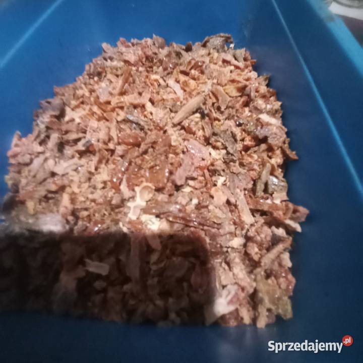 Propolis 500g Pszczelarstwo Duraczów
