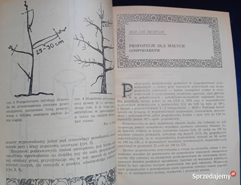 Informator ogrodniczy 1982 PWRiLTowarzystwo Antykwariat wielkopolskie Koźminek