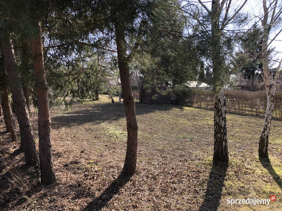 Działka ROD Zalesie Rzeszów