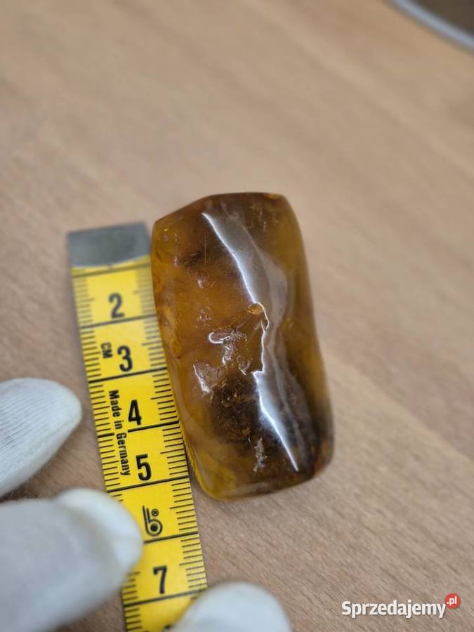 Bursztyn bałtycki naturalny okaz kolekcjonerski